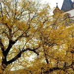 Vremea se răcește la Sibiu. Vineri plouă slab, maxime de 16 grade